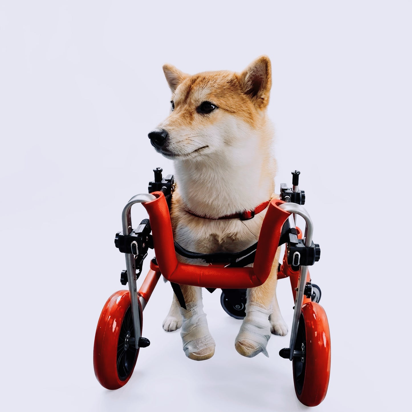 犬用歩行サポートカート｜軽量・高さ調整可能