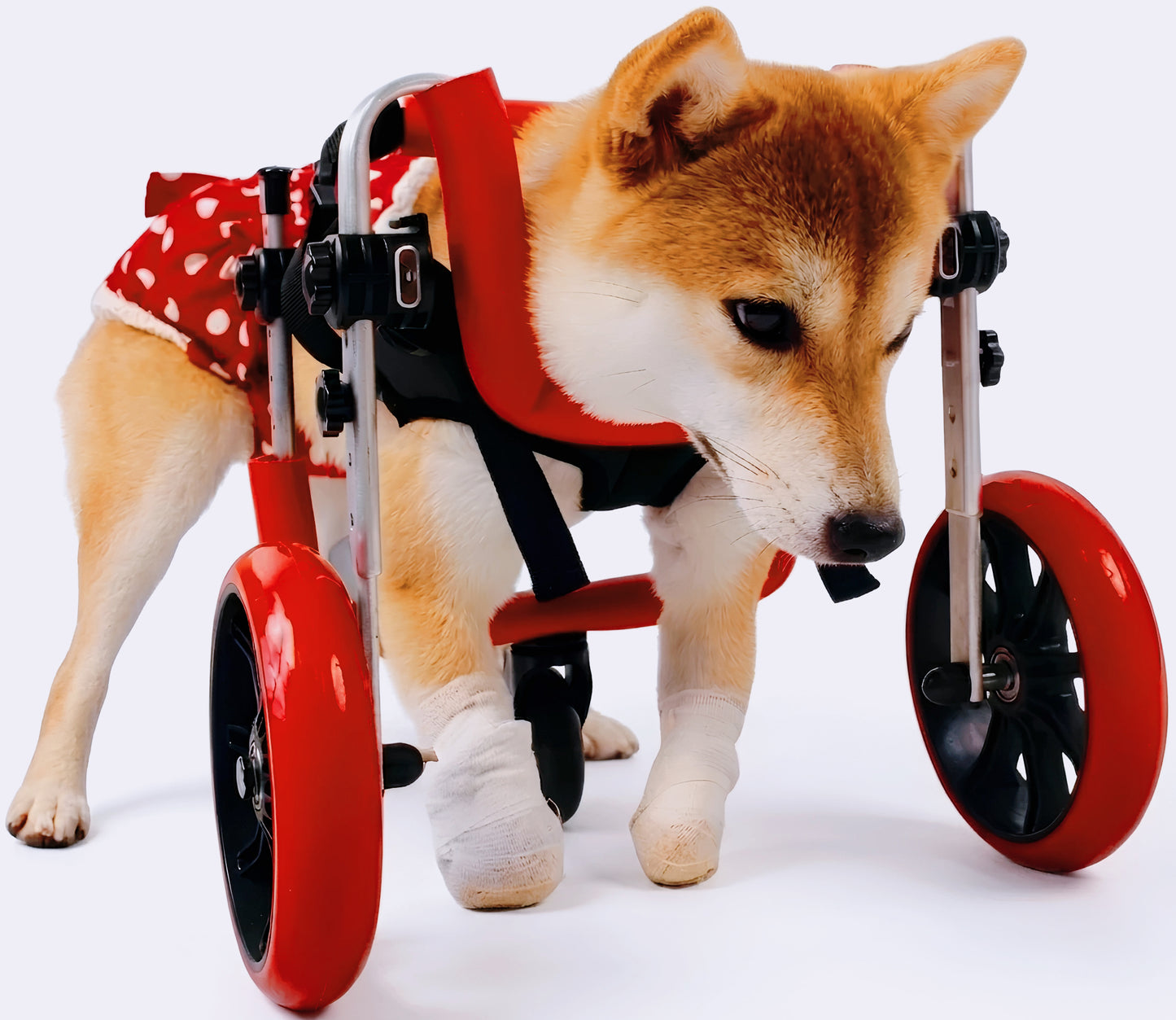 犬用歩行サポートカート｜軽量・高さ調整可能